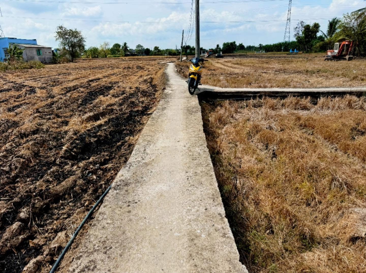 Bán đất đang trồng lúa - Long Sơn, Cần Đước, Long An - 880 triệu