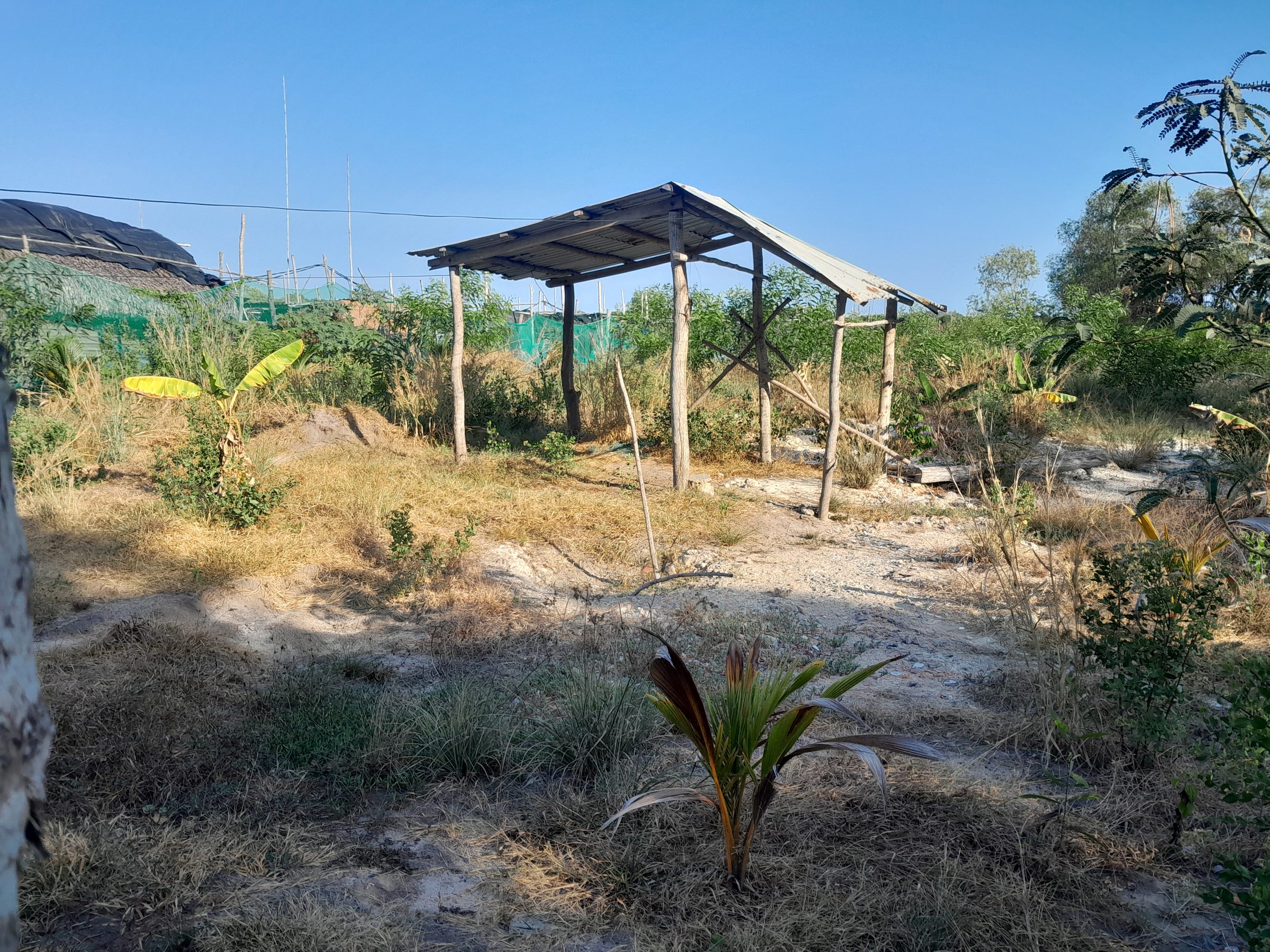 Bán Đất 9520m² giá 2.5 tỷ tại Xã Long Sơn Thành phố Vũng Tàu Bà Rịa - Vũng Tàu