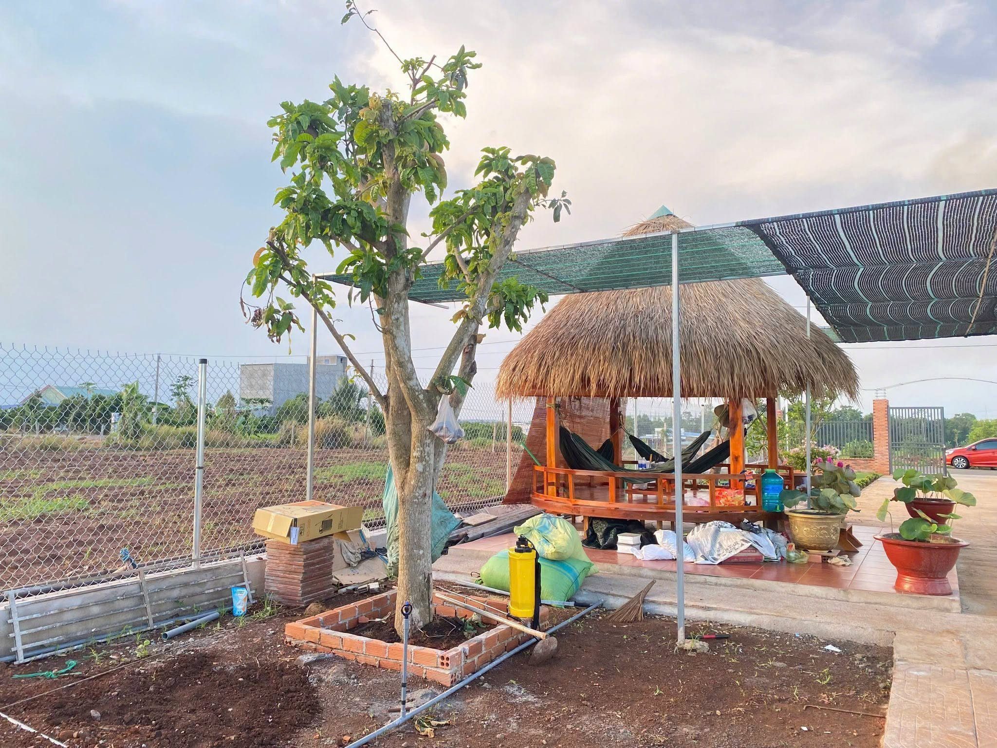 BÁN HƠN 1.000M² TẠI ĐẤT ĐỎ CÓ SẴN THỔ CƯ – VƯỜN CÂY – CHÒI NGHỈ MÁT GIÁ 2.5 TỶ