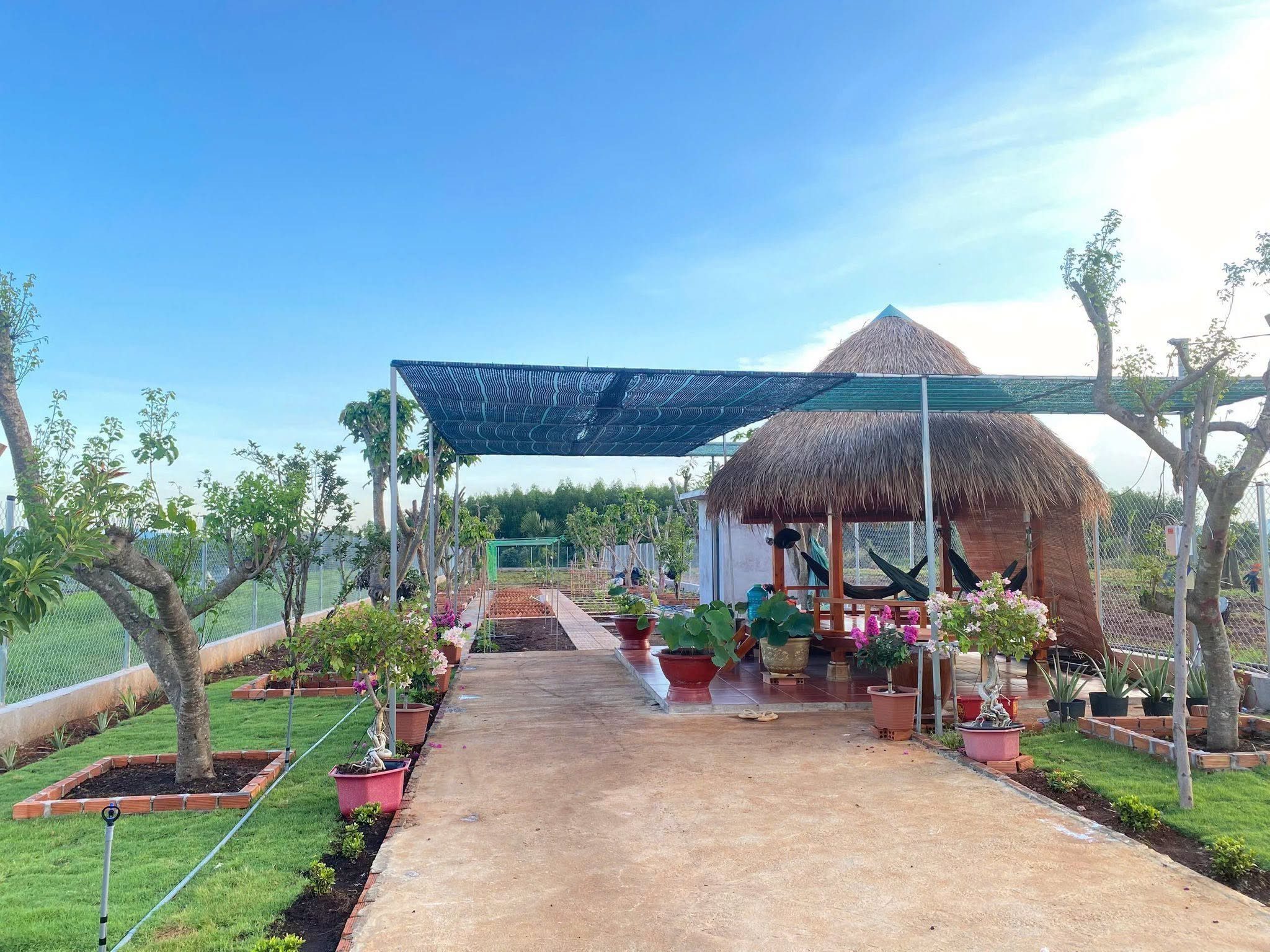 BÁN HƠN 1.000M² TẠI ĐẤT ĐỎ CÓ SẴN THỔ CƯ – VƯỜN CÂY – CHÒI NGHỈ MÁT GIÁ 2.5 TỶ