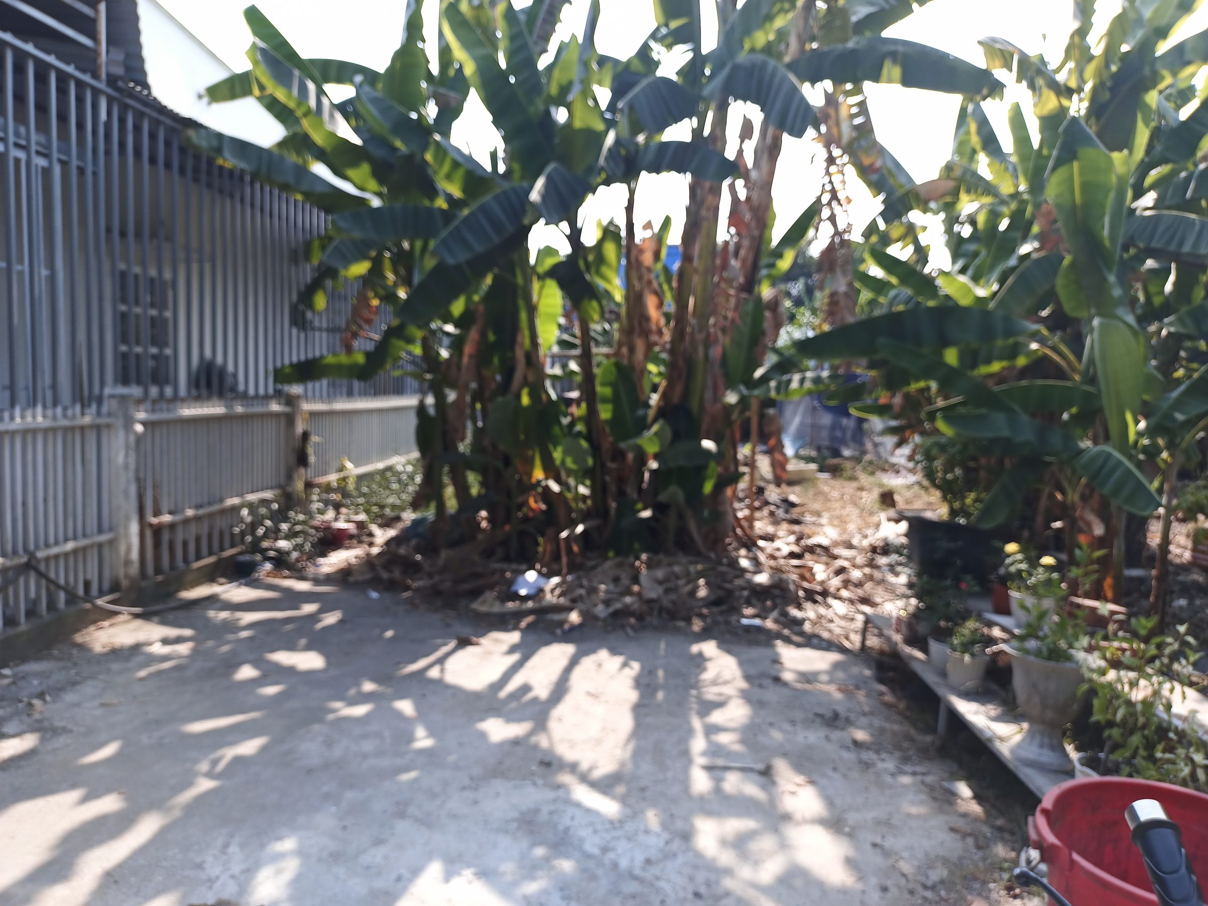 Bán đất 146.6m² có sẵn 65m² thổ cư ngang 5m giá 2.6 tỷ tại Xã Long Thành