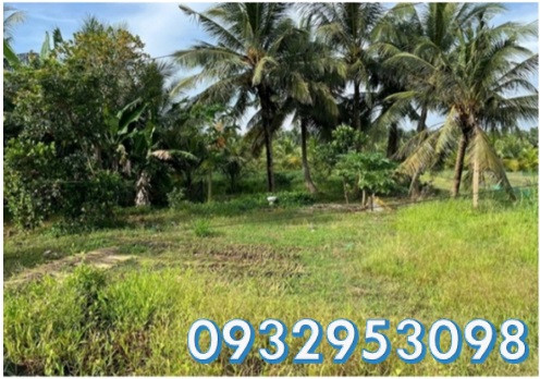 ⭐️Chính chủ bán đất vị trí đẹp (Châu Thành, Trà Vinh) nay là ấp Hoà Lạc C, xã Song Lộc, Vĩnh Long, 0932953098