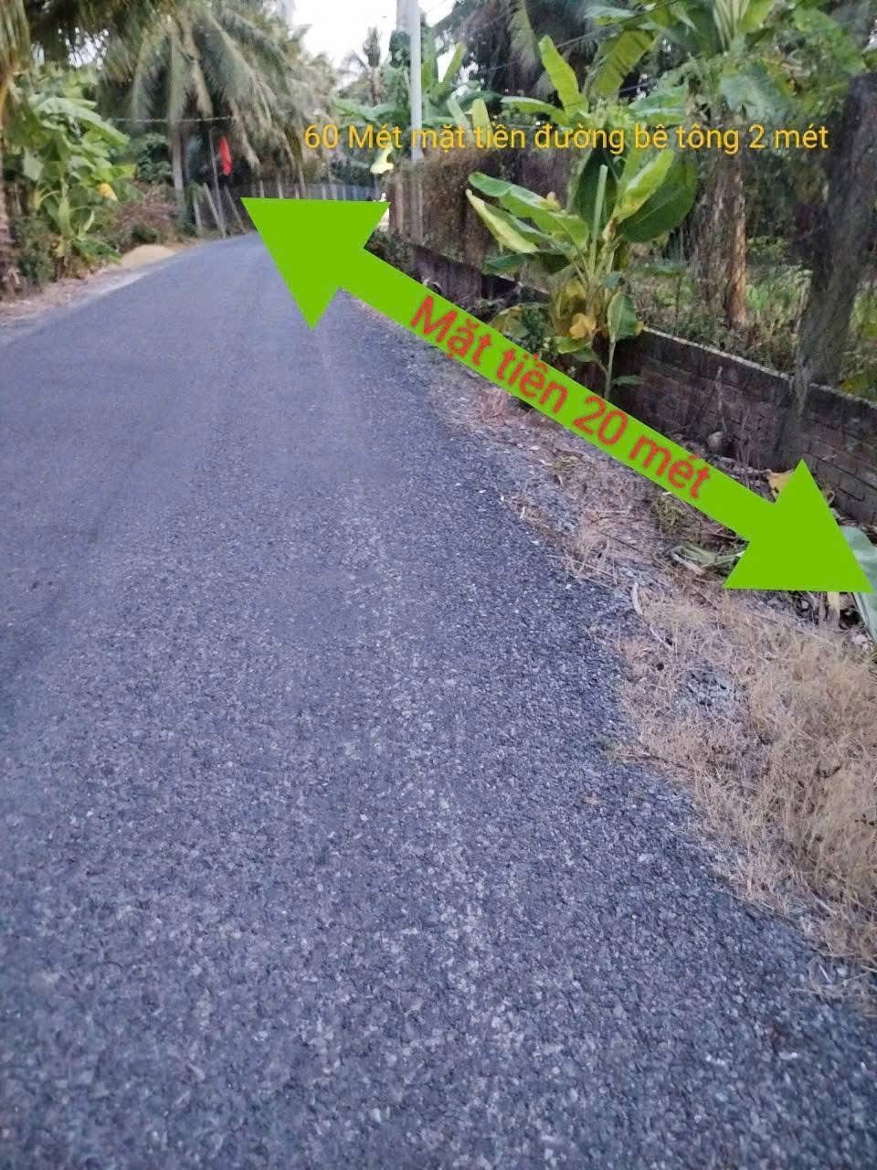 Bán 1.3 công đất CLN An Lạc B, Lương Hoà Lạc, Chợ Gạo gần dự án đường Hùng Vương nối dài