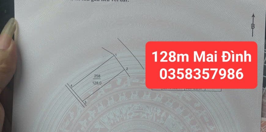 Bán đất Mai Đình DT 128m vuông,MT 6.42m
Giá bán 4 tỷ 920 triệu