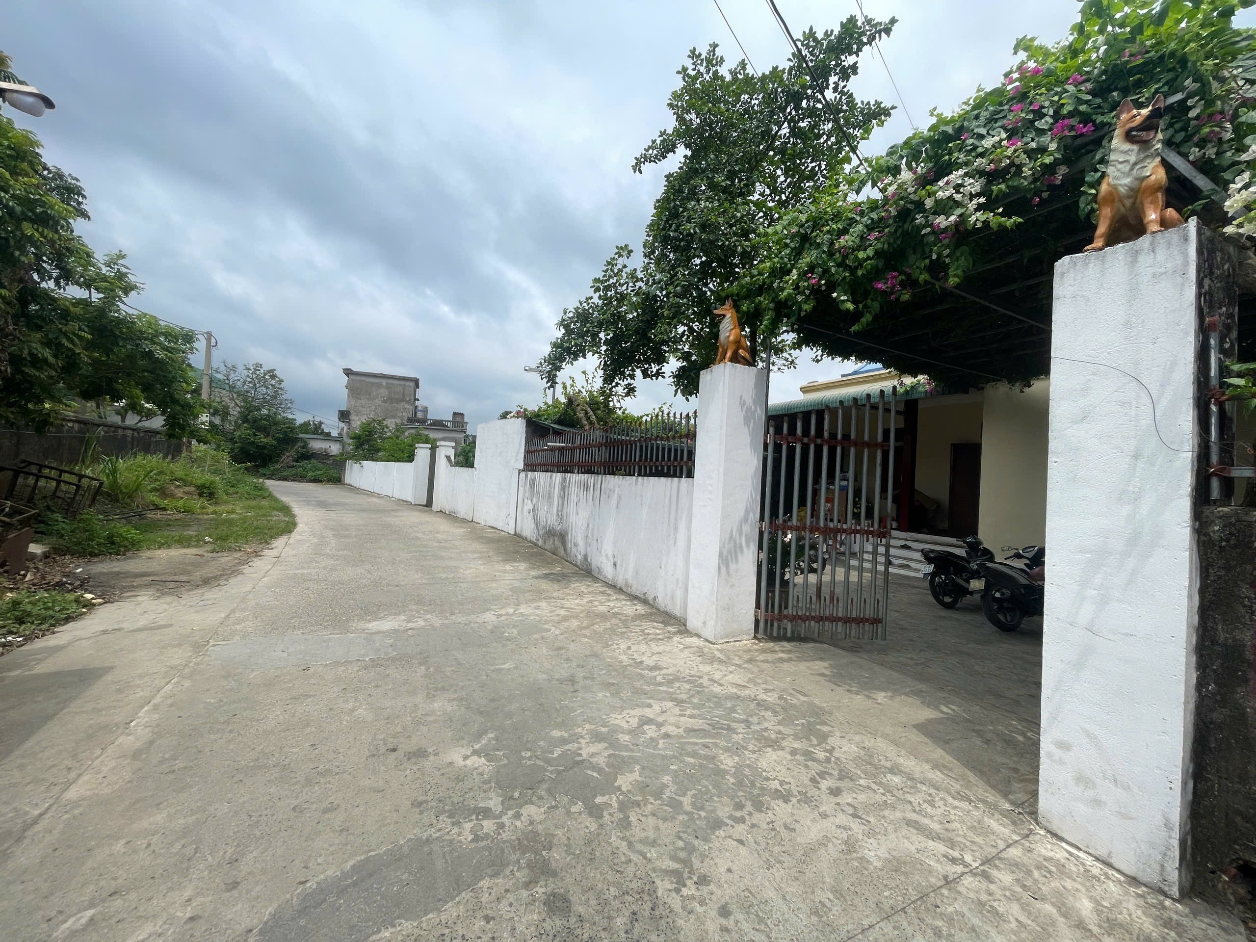 🏡 BÁN ĐẤT TẶNG NHÀ TẠI MAI SƠN, YÊN MÔ, NINH BÌNH.
