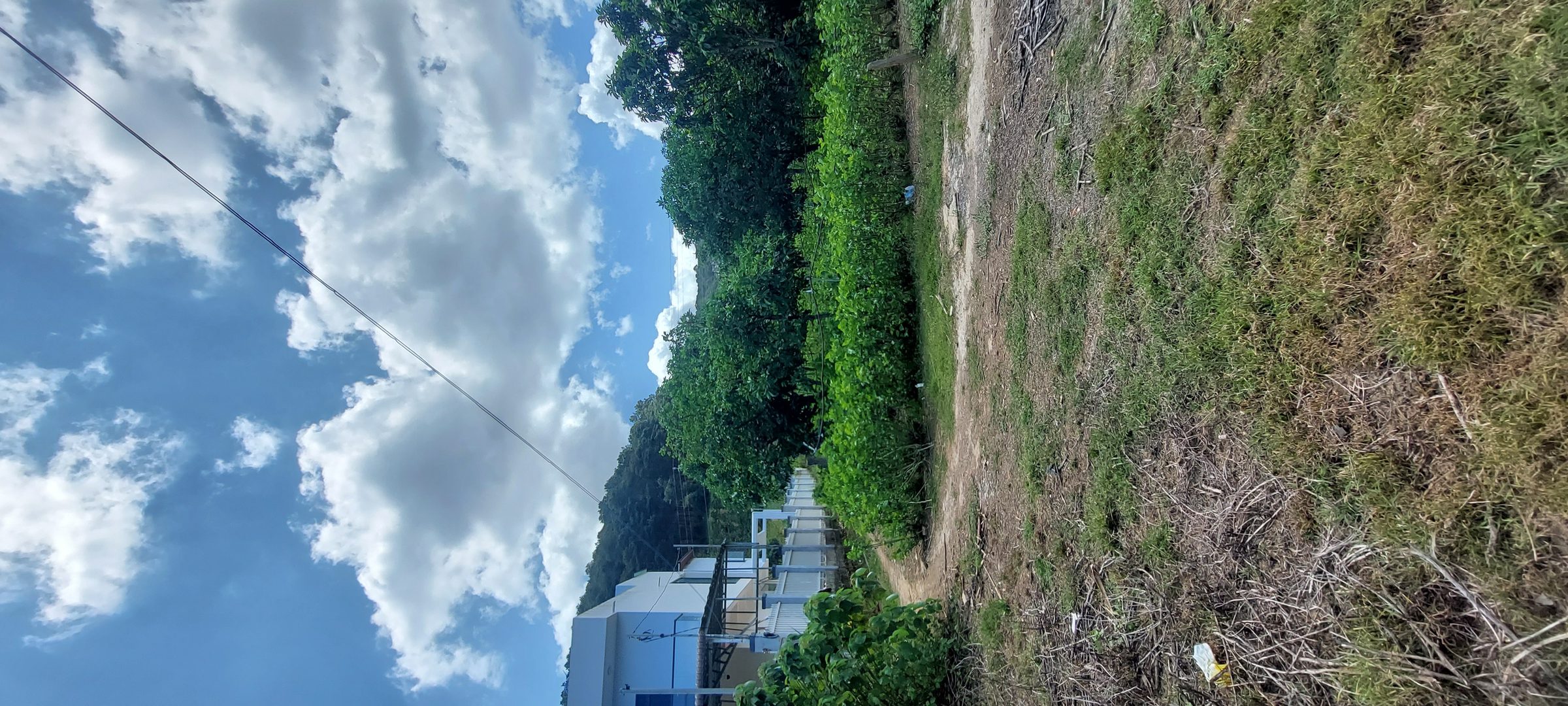 Lô đất 2700m đất Mê Linh- Đà Lạt 🌲🏠 6 tỷ 2- view rừng thông- cách đường chính 725 600m