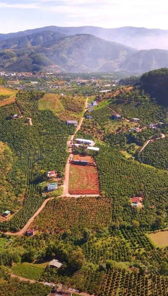 Đất Mê Linh ngay homestay Nacasohill GIá 750 triệu/252m2. SHR. 2km tới địa phân Đà Lạt