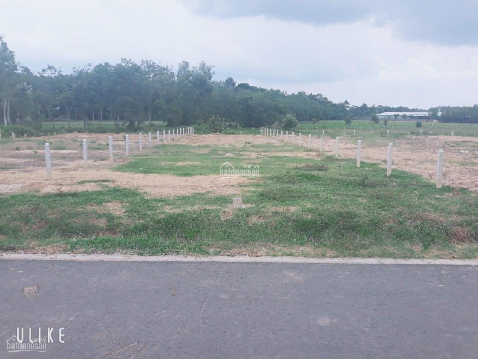 Bán đất 1021.5m² ngang 20m giá 290 triệu Xã Minh Đức