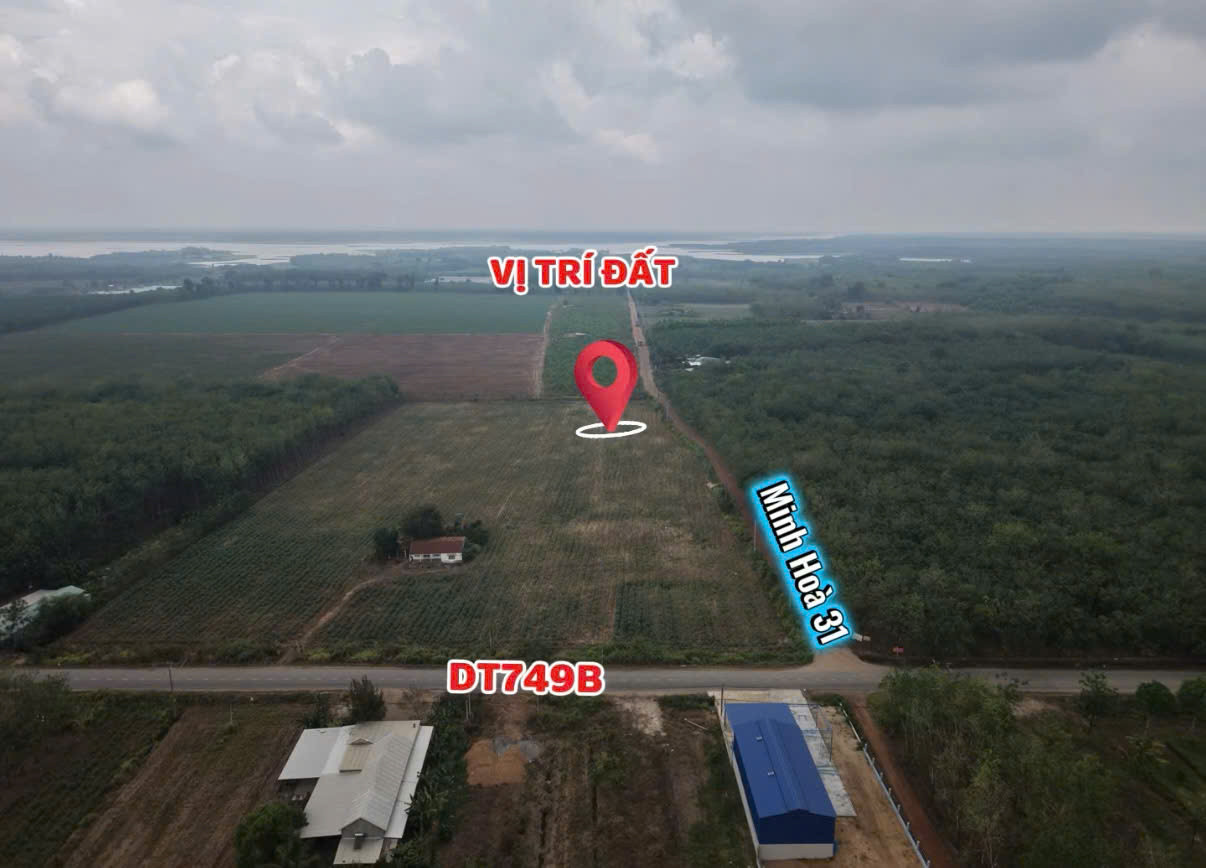 SỞ HỮU NGAY ĐẤT DẦU TIẾNG, BÌNH DƯƠNG (MINH THẠNH, TP.HCM)- CÁCH DT749B CHỈ 100M