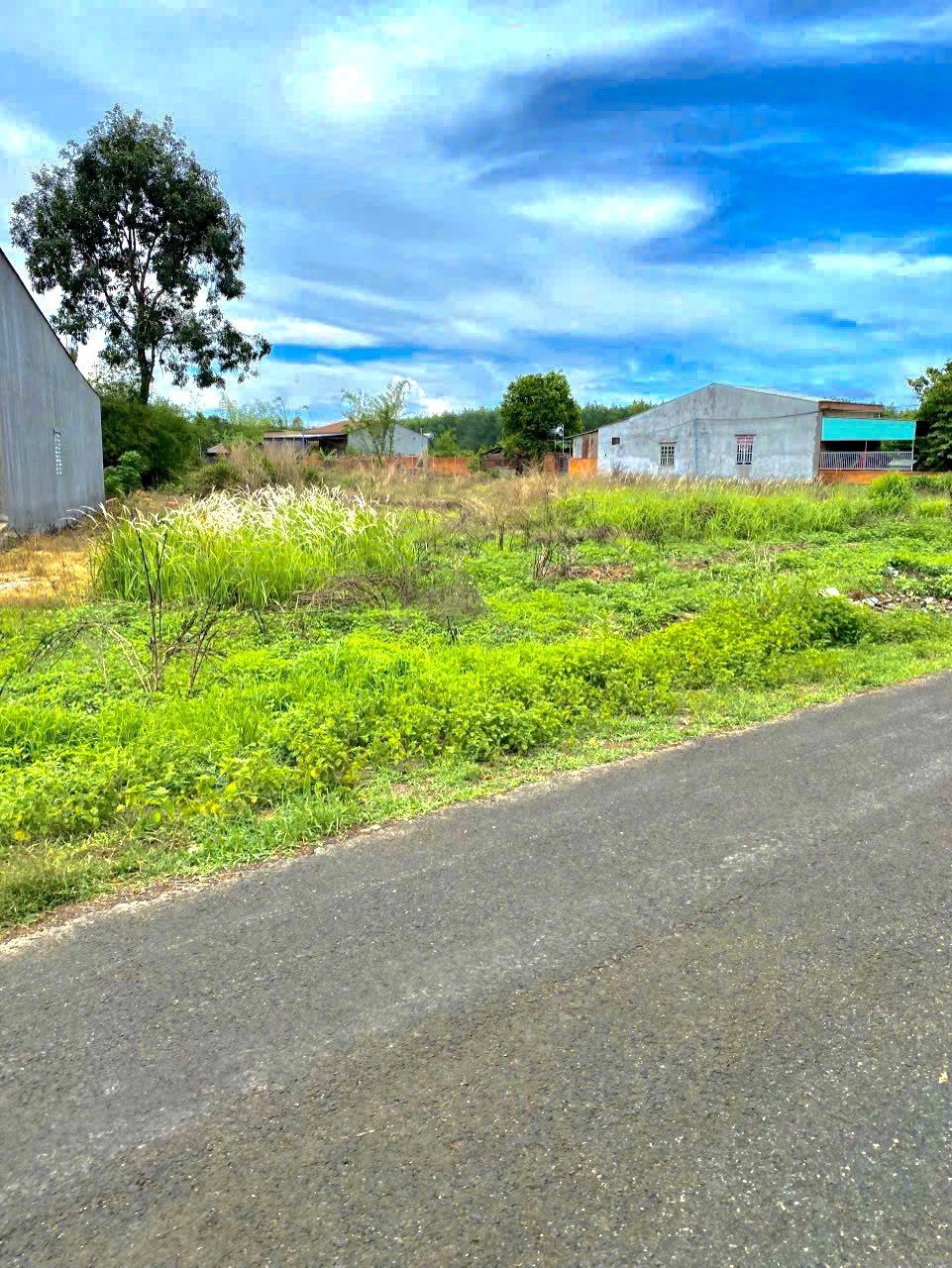 BÁN RẺ LẠI LÔ ĐẤT 3000M2 ĐẤT NGAY MT ĐƯỜNG THÔNG SÁT KCN, CHỢ, SHR DÂN ĐÔNG GIÁ 190TR