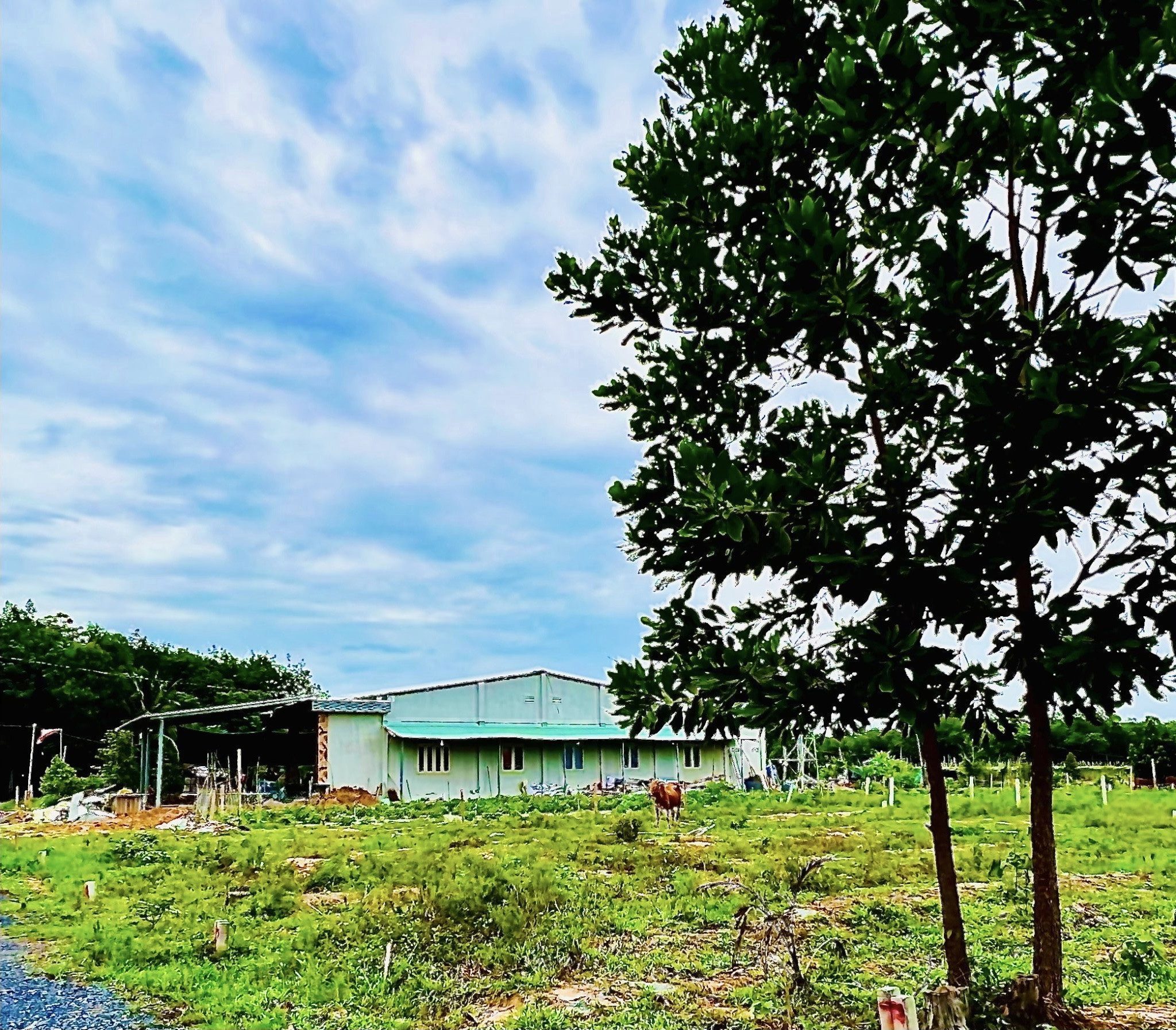 Bán Đất 410m² thổ cư 120m² giá 625 triệu tại Xã Minh Long Thị xã Chơn Thành Bình Phước