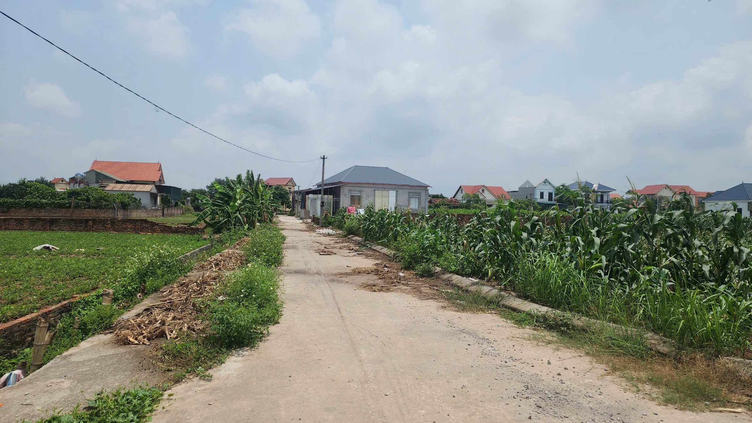 Đường thông gần trường học và sau qui hoạch khu công nghiệp