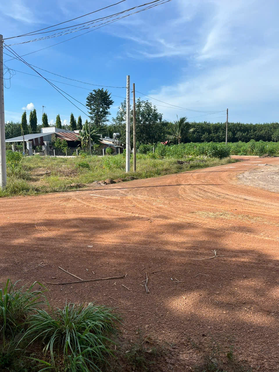 🔥 BÁN LÔ ĐẤT DIỆN TÍCH 2.487m² – VỊ TRÍ ĐẸP – TIỀM NĂNG TĂNG GIÁ MẠNH 🔥