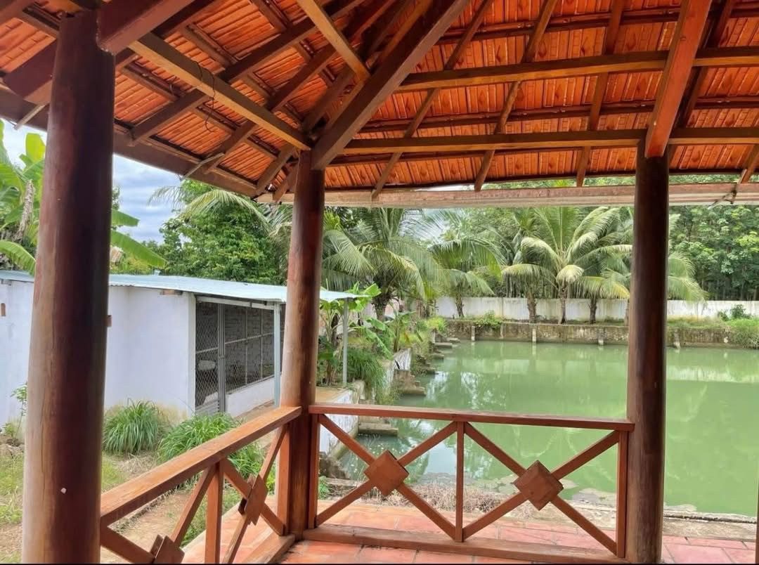 Cần bán gấp nhà vườn nghỉ dưỡng 2.600m2 giá chỉ 845 Triệu tại Minh Thành, Chơn Thành gần KCN Becamex