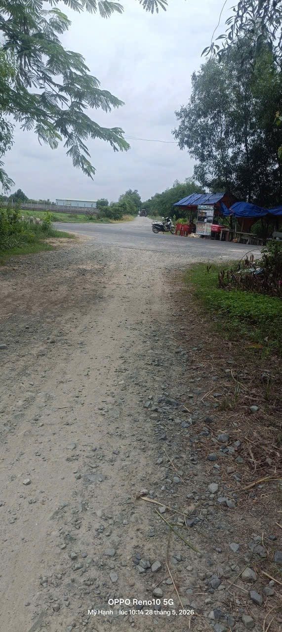 Bán Đất 360m² thổ cư 360m² giá 1.25 tỷ tại Xã Mỹ Hạnh Tây Ninh