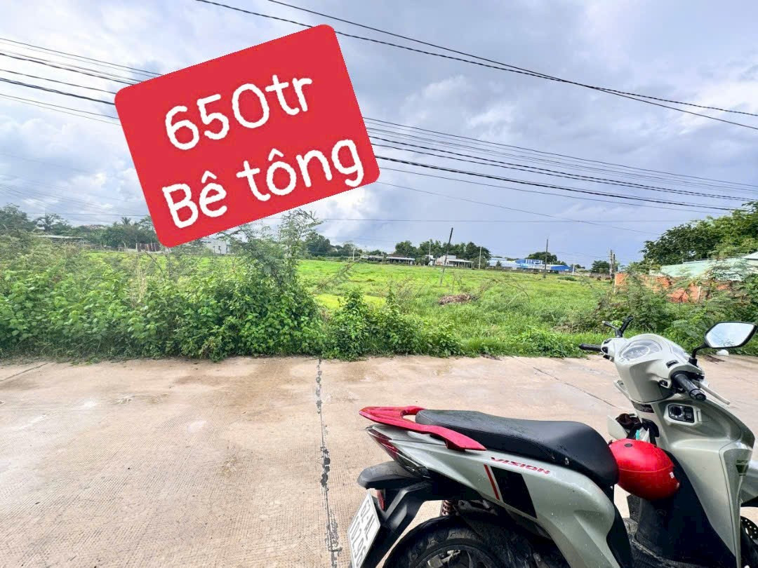 Bán đất 1729m² ngang 5m giá 650 triệu tại Xã Mỹ Hạnh