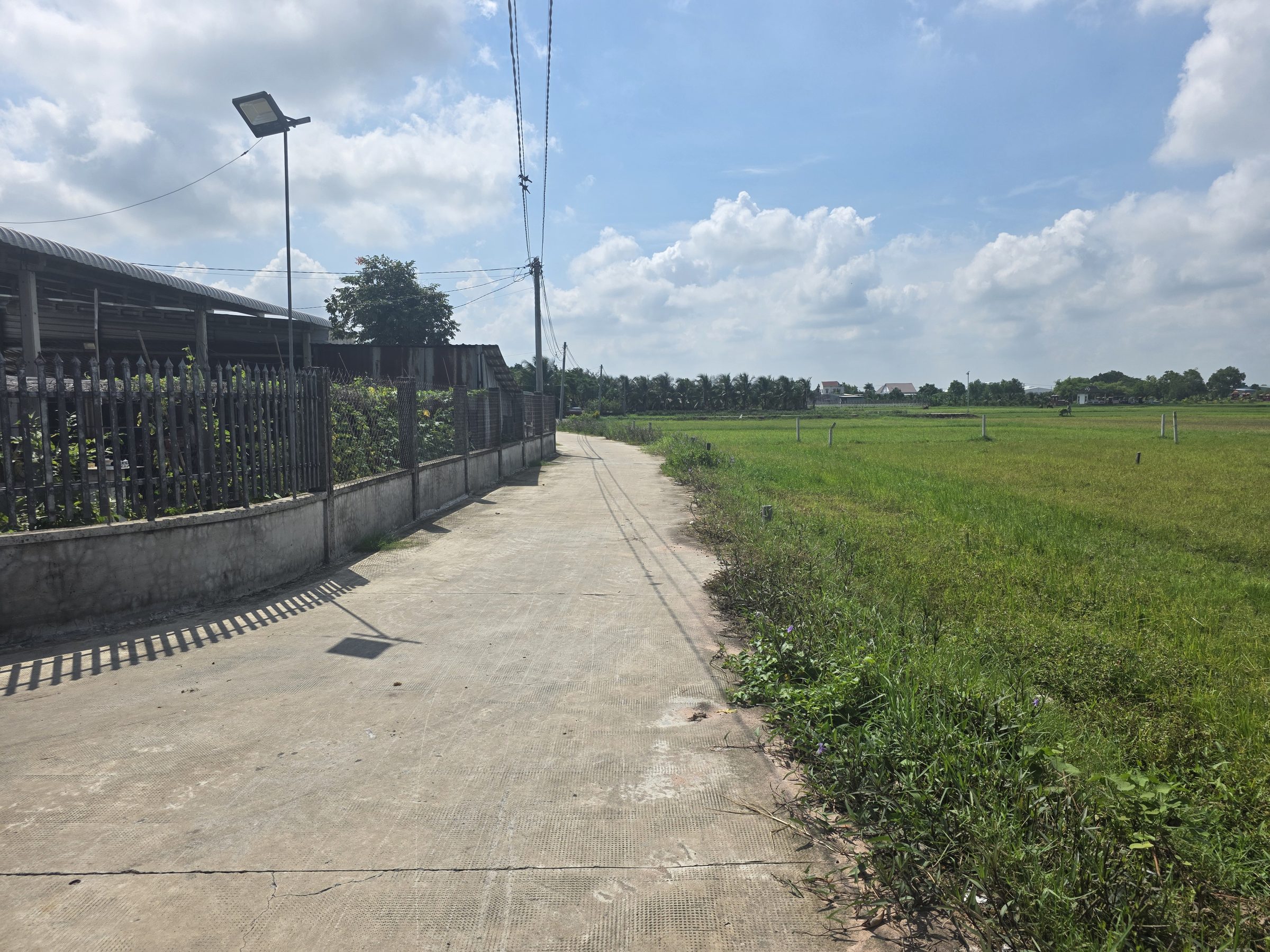 Bán đất full thổ MỸ HẠNH (Long An cũ)