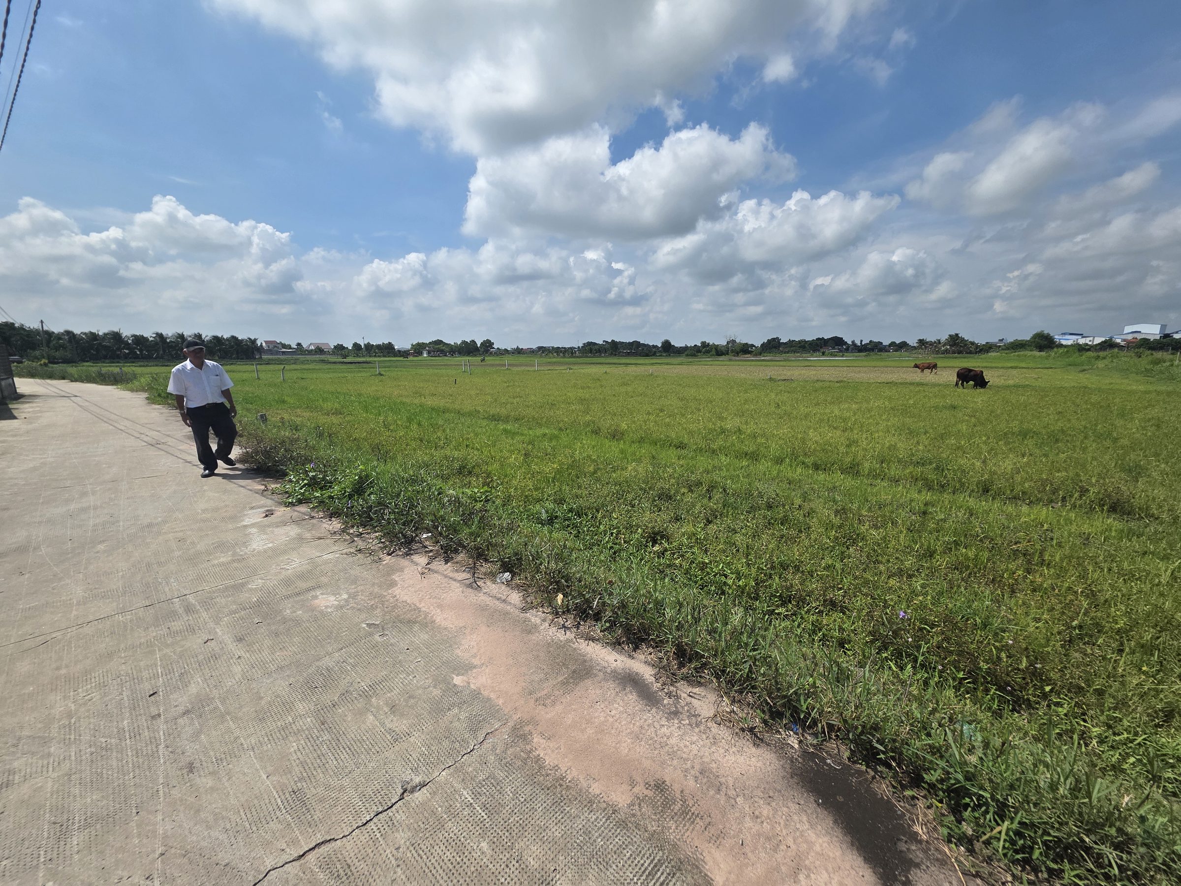 Bán đất full thổ MỸ HẠNH (Long An cũ)