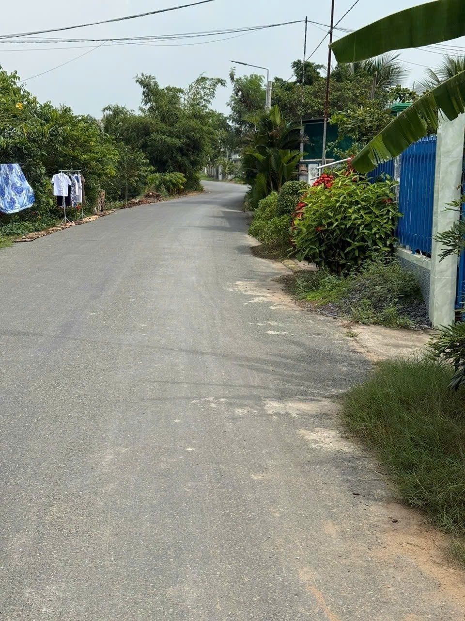Bán lô đất thổ 103m2 mặt tiền đường nhựa liên xã Tân Trạch - Mỹ Lệ