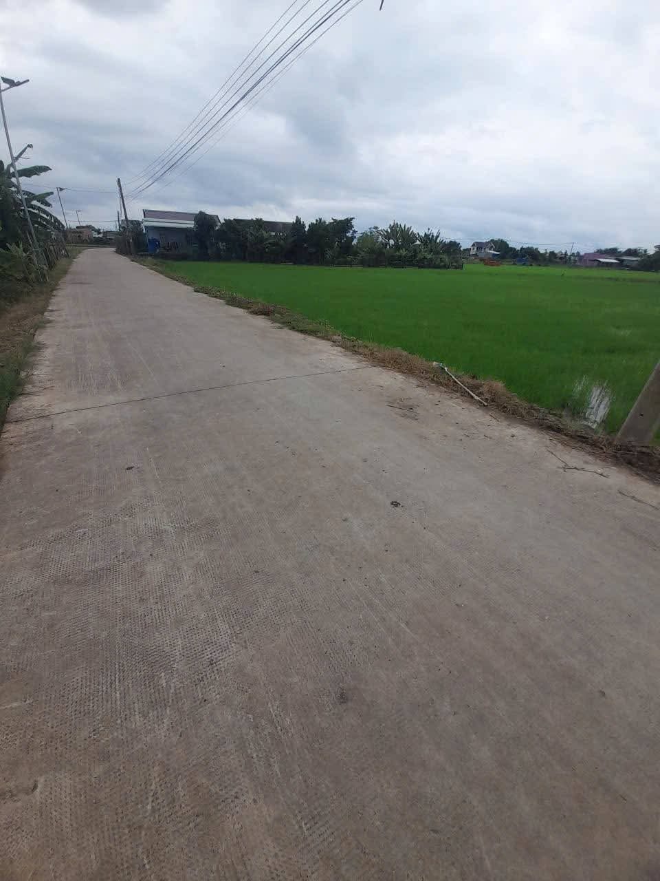 Chính chủ cần bán 1600m lúa phù hợp chuyển thổ cư tại xã Mỹ Lệ Cần Đước Long An