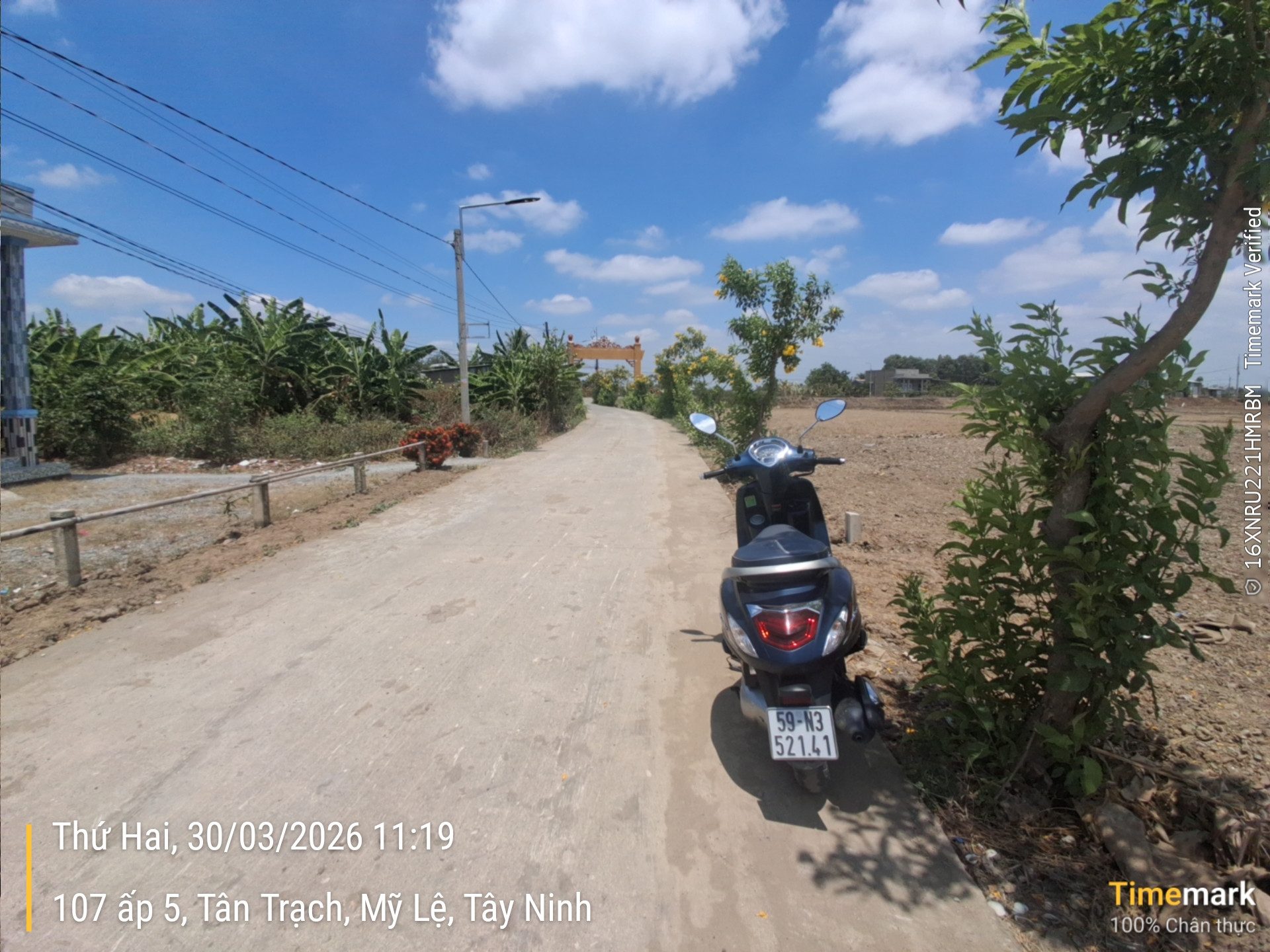 🔥 MUA NGAY ĐẤT THỔ CƯ 188.7M² MỸ LỆ – MẶT TIỀN TỔ ĐÌNH LINH PHƯỚC – GIÁ TỐT NHẤT KHU VỰC!