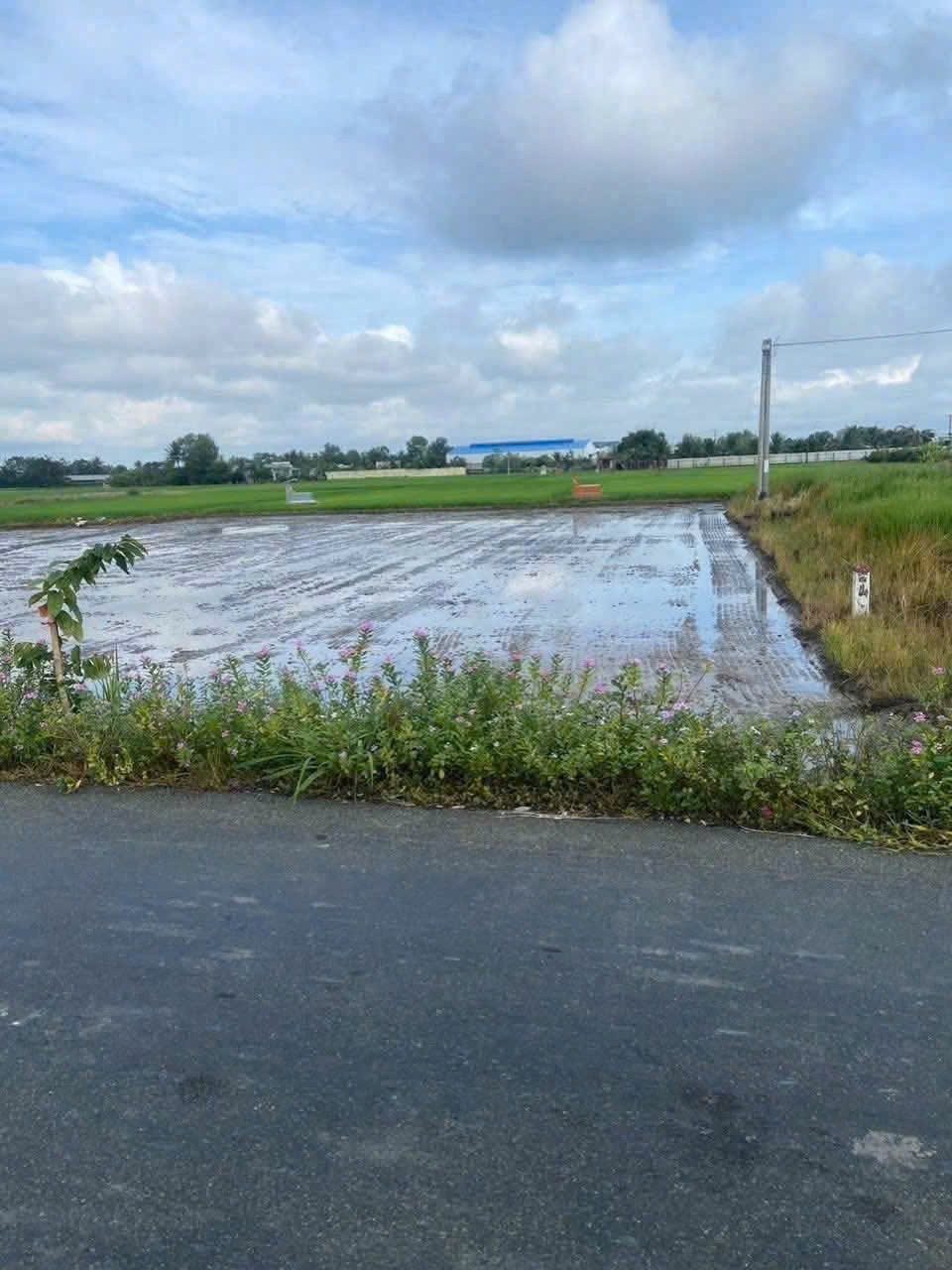 🔥 CHÍNH CHỦ BÁN ĐẤT MỸ LỆ – 1000 M² – GIÁ 2.5 TỶ