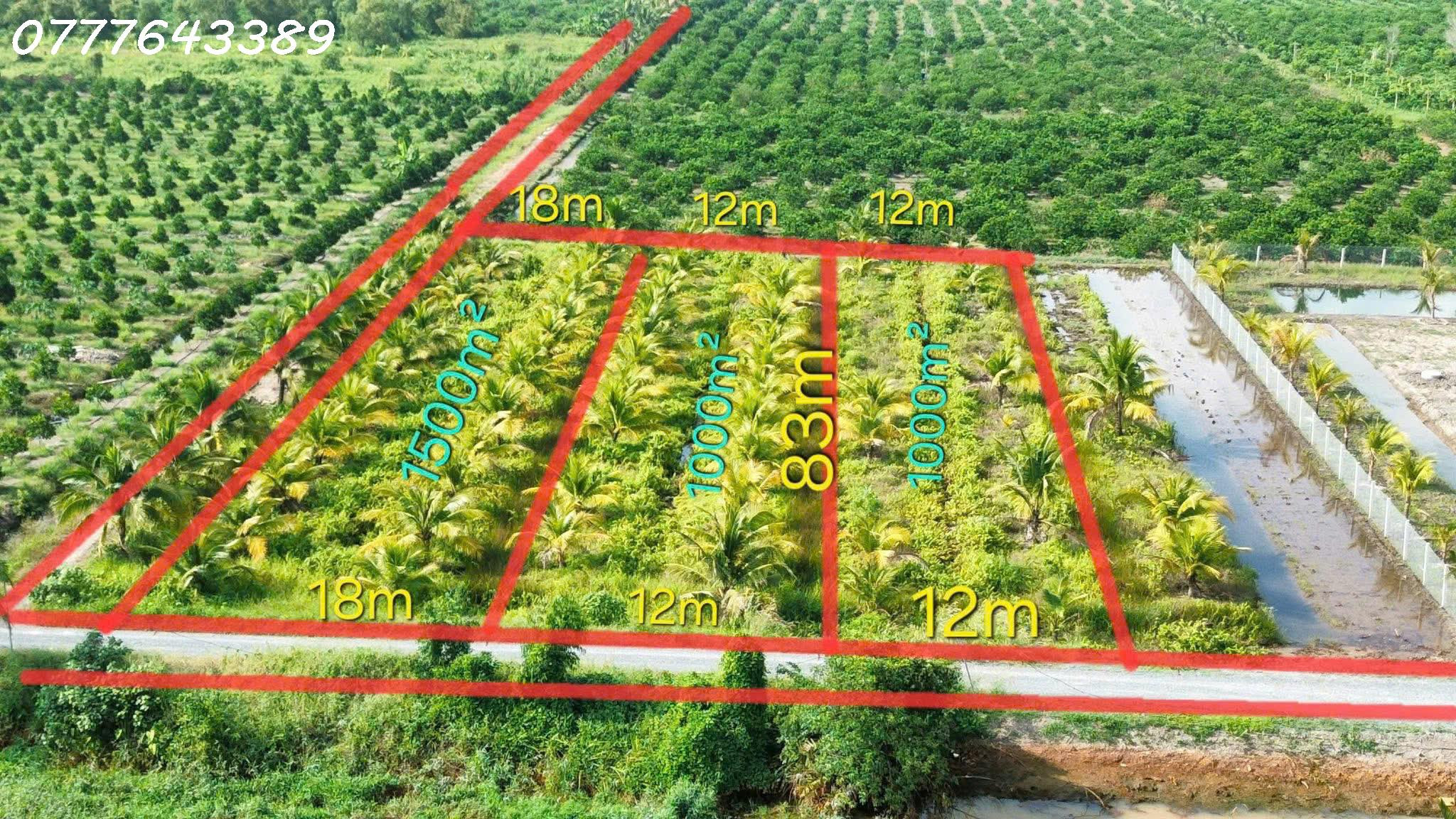 🌳Hàng hiếm - Đất vườn siêu đẹp tại Thủ Thừa giá 789tr / DT 1000mv
