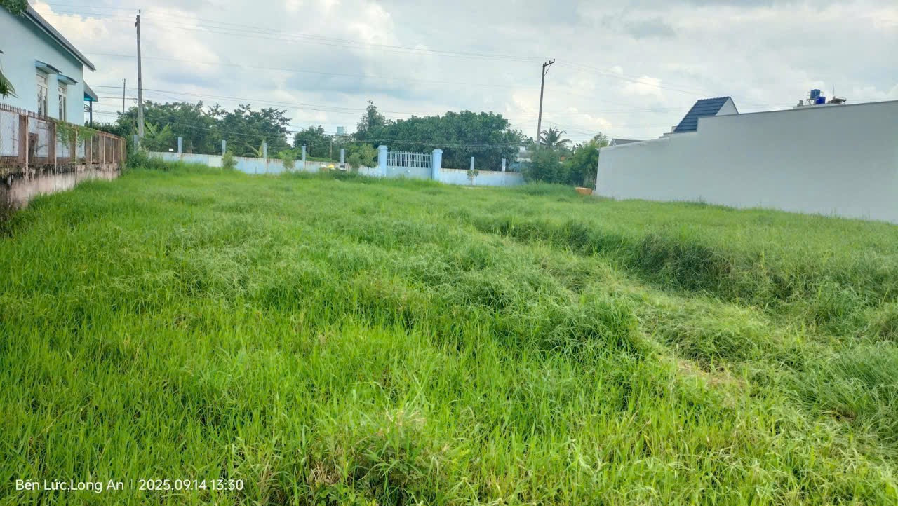 600m2 (15x40m) FULL THỔ 2 mặt tiền, cách nhựa ấp 2 chỉ 50m, Mỹ Yên, Bến Lức, Long An