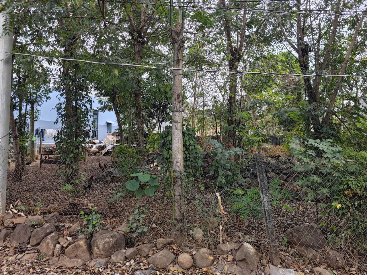 Bán đất 406m² giá 1 tỷ Xã Nam Dong