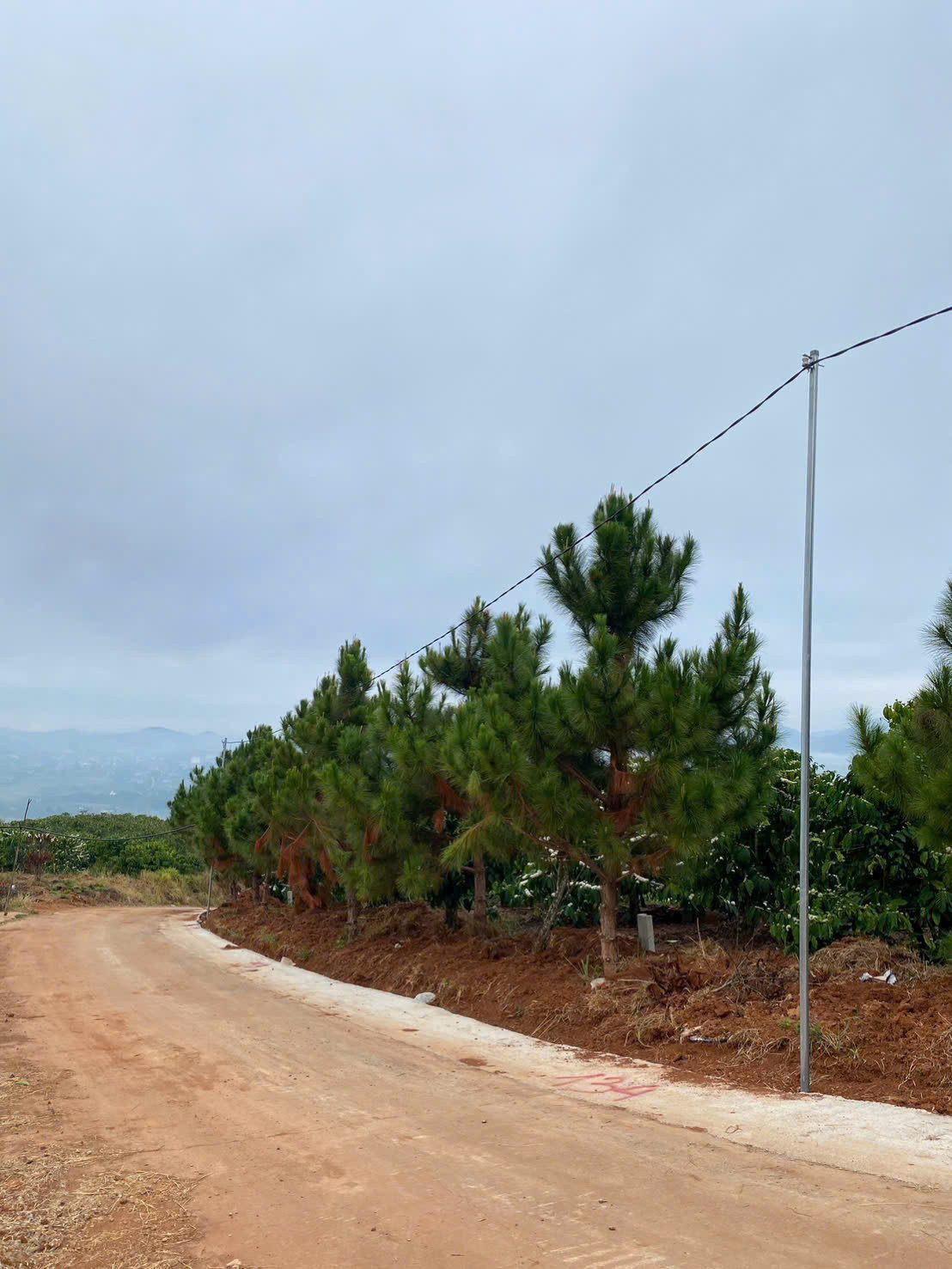 Đất thổ cư View Săn Mây mỗi ngày cách chợ đêm Đà Lạt 30km. Giá chỉ với  850 K/m2