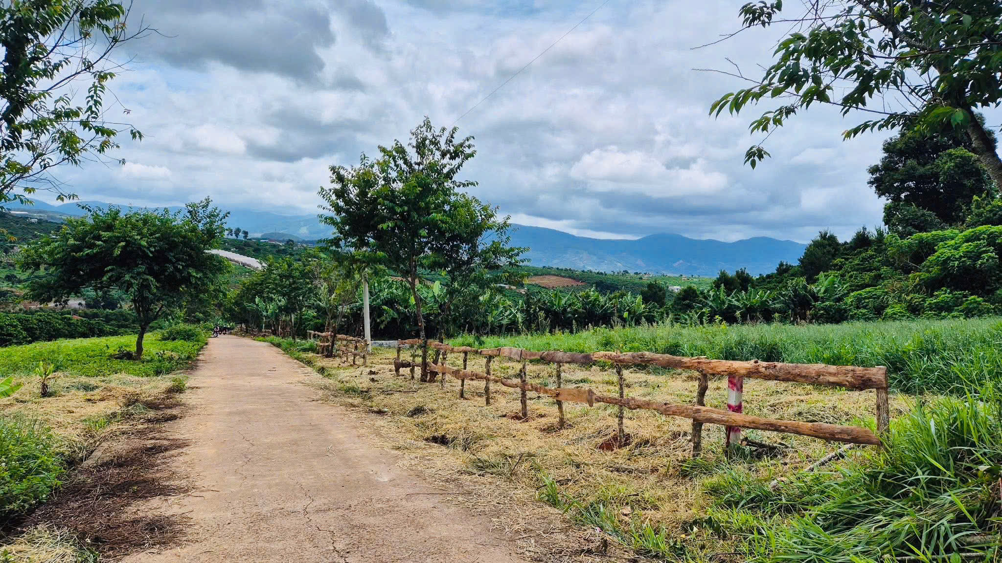 Bán Đất ngay trung tâm Xã Nam Hà chỉ 200m ra đường nhựa lớn. DT: 50x22.6m. Có TC 100m. Giá 1.2 tỷ . View đẹp