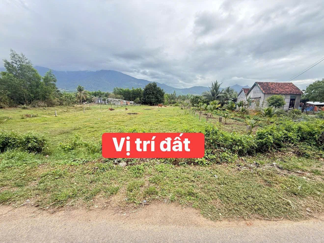 0763615365 Bán đất 318m² ngang 9.5m giá 800 triệu tại Xã Nam Ninh Hòa VT