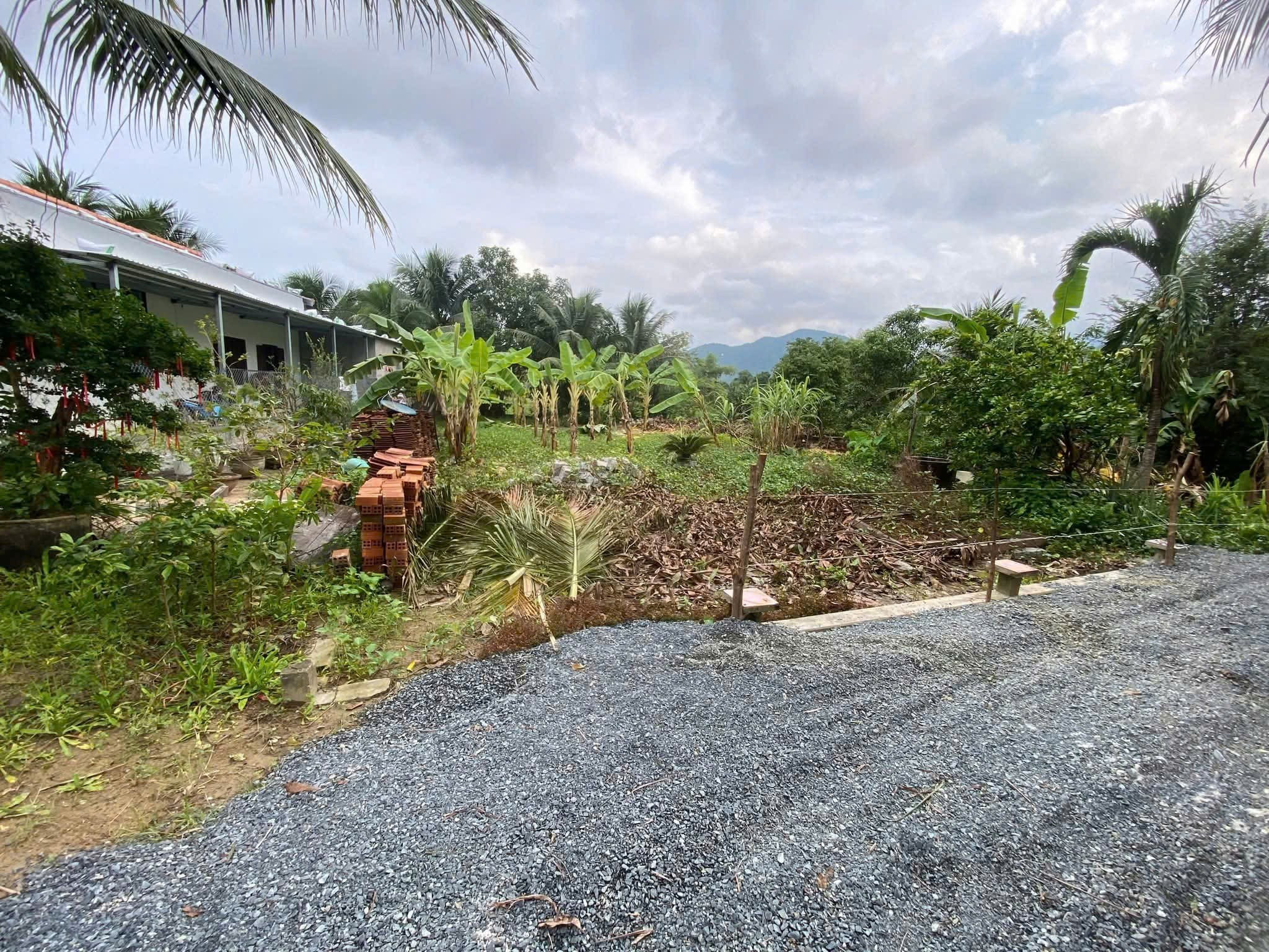 Bán đất 589m² ngang 20m giá 2.1 tỷ Xã Nam Ninh Hòa