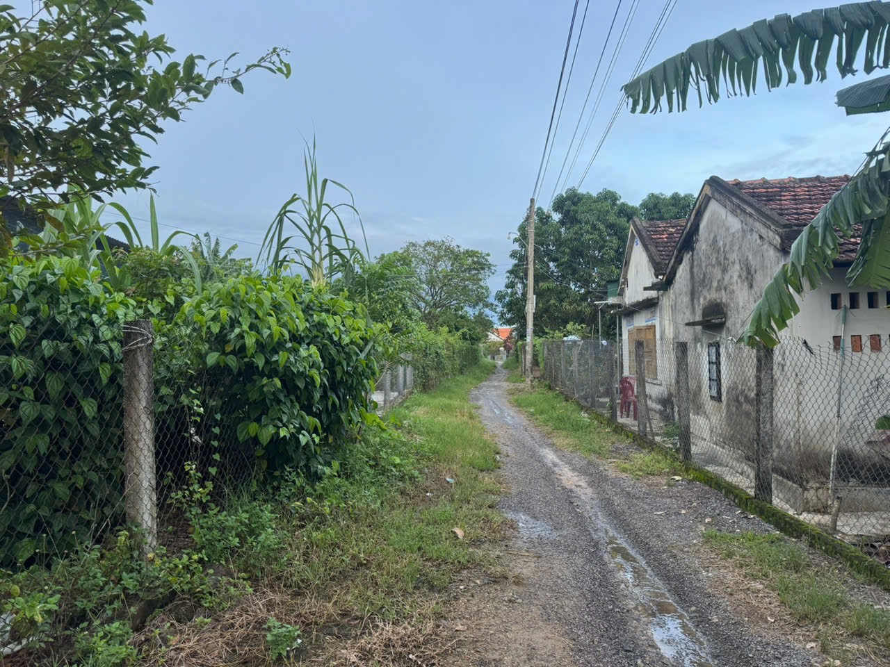 0938113403 Bán đất 100m² giá 290 triệu Xã Nam Ninh Hòa Z134