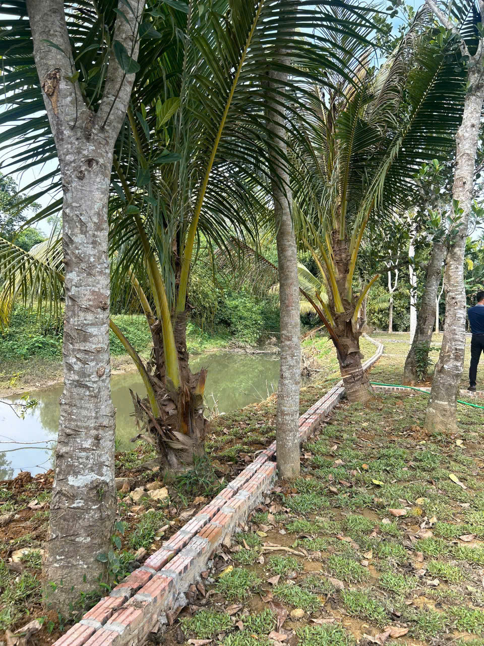 Chỉ hơn 400tr có ngay lô đất sãn sổ ngay gần chợ và đường QL 12B tại Kim Bôi, Hoà Bình