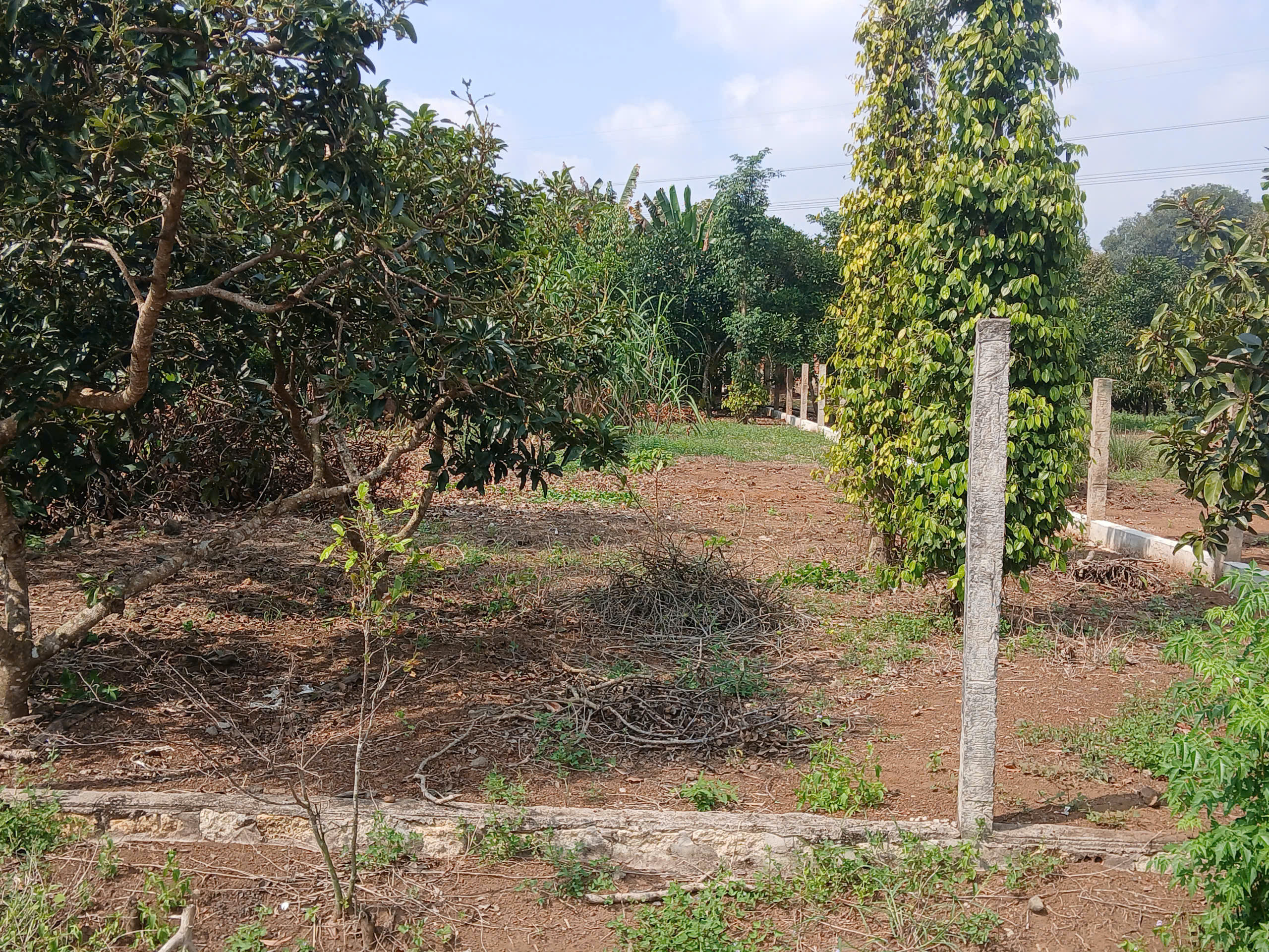 Bán đất 624,4m² ngang 10m giá 1.25 tỷ Xã Ngãi Giao, Châu Đức