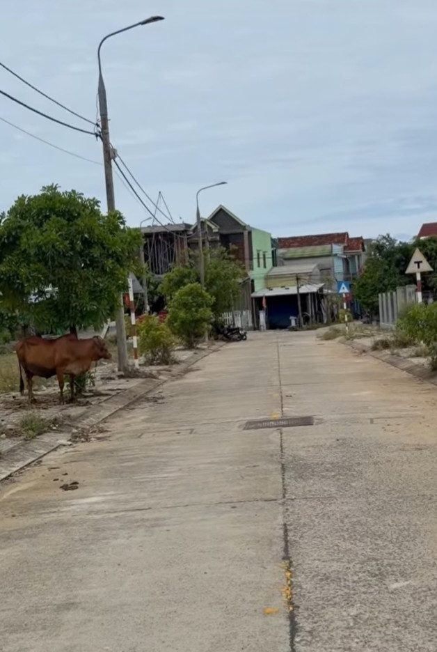 BÁN LÔ ĐẤT ĐẤU GIÁ TẠI KHU DÂN CƯ NGHĨA PHÚ, AN PHÚ, QUẢNG NGÃI