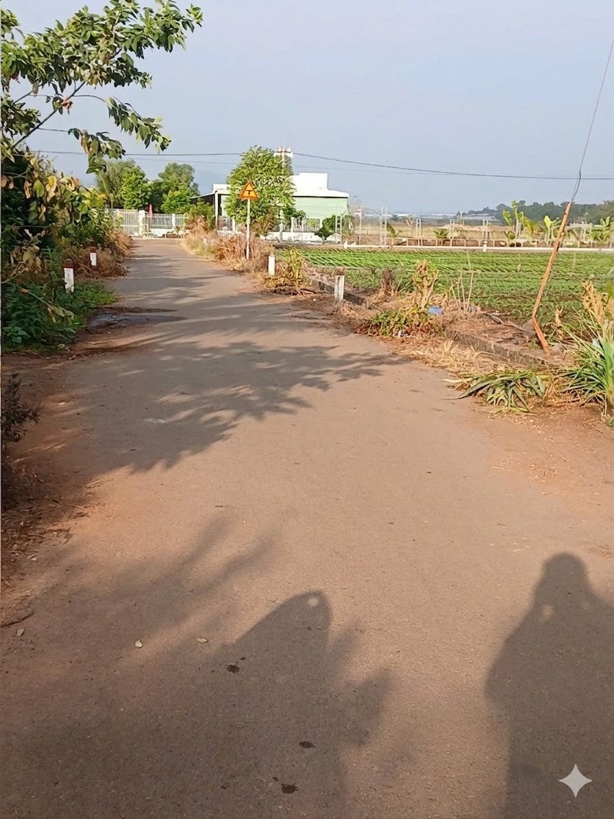Bán đất 437.6m² ngang 10m giá 2.35 tỷ tại Xã Nghĩa Thành Gần KCN Sonaderzi