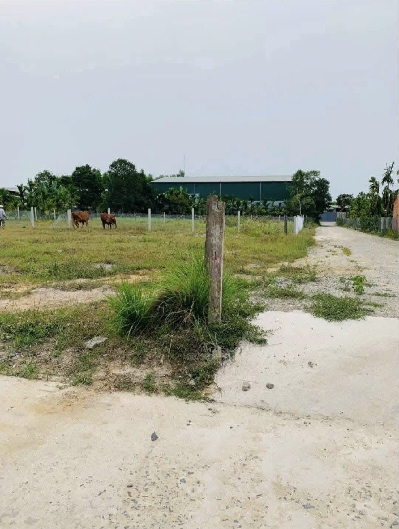 Nghĩa Kỳ còn 2 lô tương lai là bênh hông Khu phức hợp Công nghiệp – Đô thị – Dịch vụ An Phú 🏢