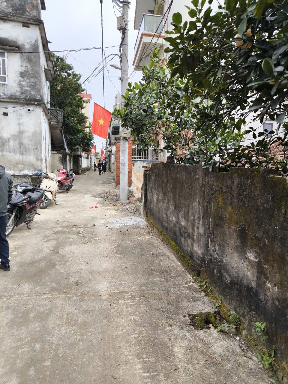 🔥 80M² TRỤC CHÍNH – MT 5,36M – GIÁ 40TR/M – NGỌC LIỄU VIÊN, NGHIÊM XUYÊN 🔥