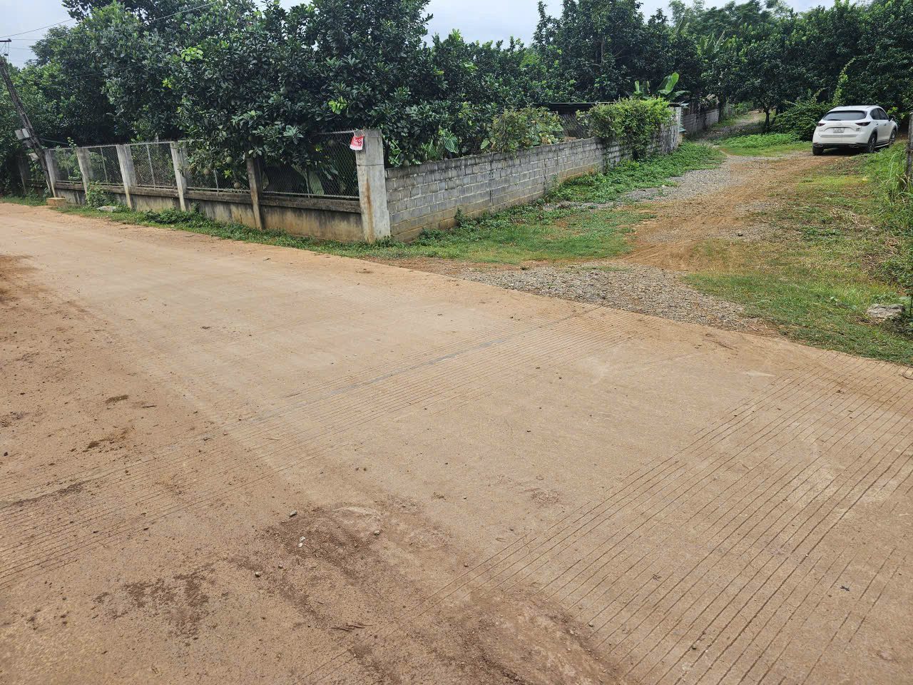 1355m FULL THỔ CƯ  - Tặng vườn bưởi sai trĩu quả - giá chỉ hơn 1 tỷ