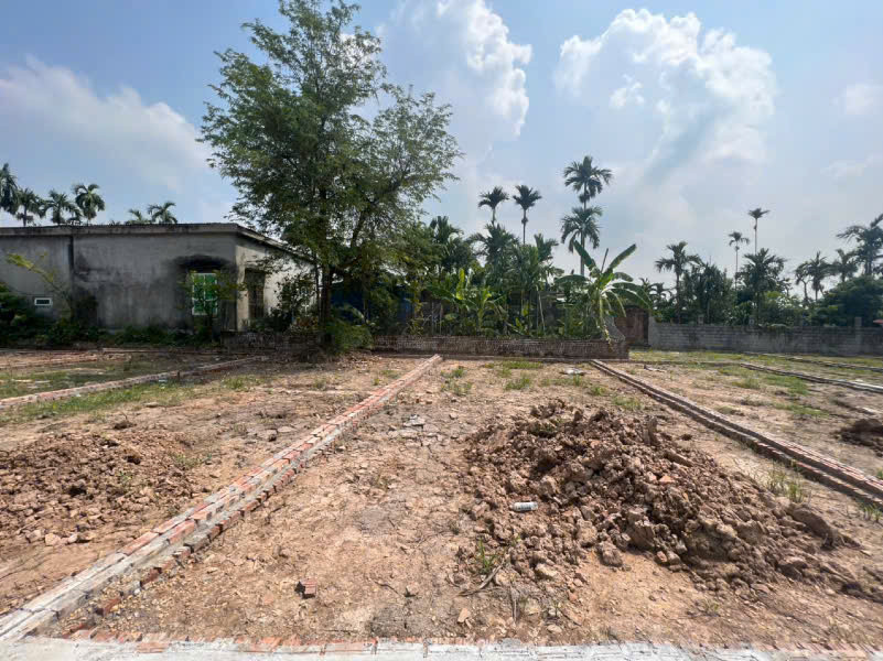 Bán đất 63.3m² full thổ cư ngang 5.6m giá 750 triệu tại Xã Ngũ Đoan Huyện Kiến Thuỵ