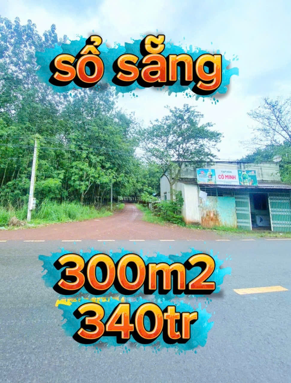 Bán đất 300m² có sẵn 50m² thổ cư ngang 5m giá 350 triệu tại Xã Nha Bích