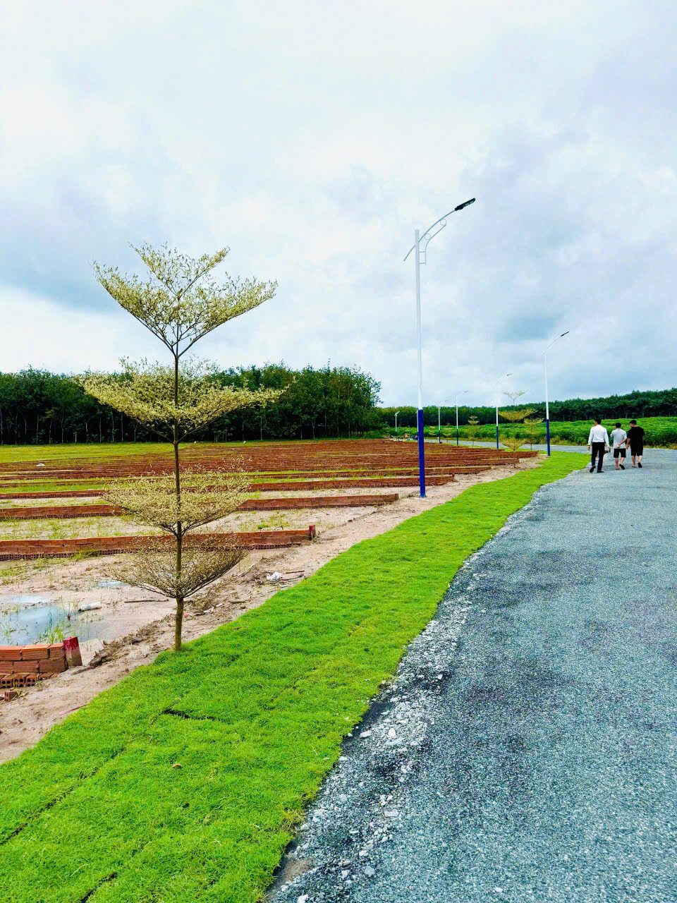 Bán đất 234m² có sẵn 50m² thổ cư ngang 5m giá 600 triệu tại Xã Nha Bích