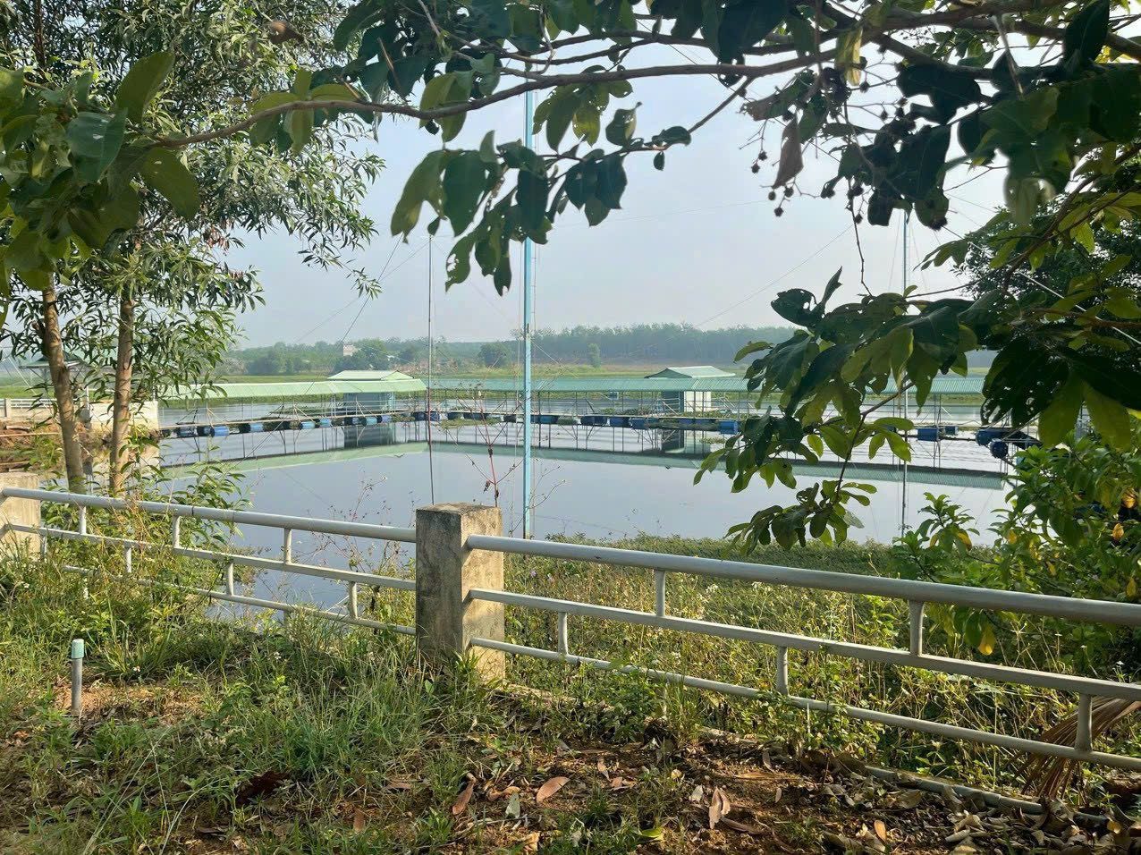 Bán đất 250m² có sẵn 100m² thổ cư ngang 5m giá 450 triệu tại Xã Nha Bích