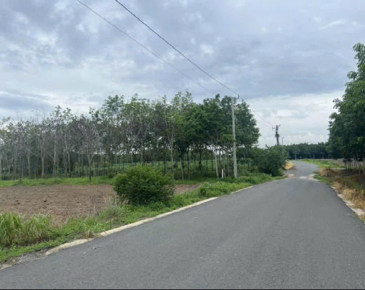 Bán đất 1100m² ngang 20m giá 900 triệu tại đường 12 chơn thành ra hồ sinh thái Ph