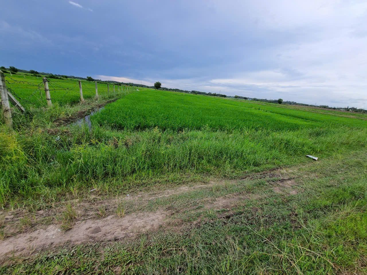(S750) Đất 1/ Đoàn Thị Mối, xã Nhuận Đức, dt 1.756m2, giá 1 tỷ 900