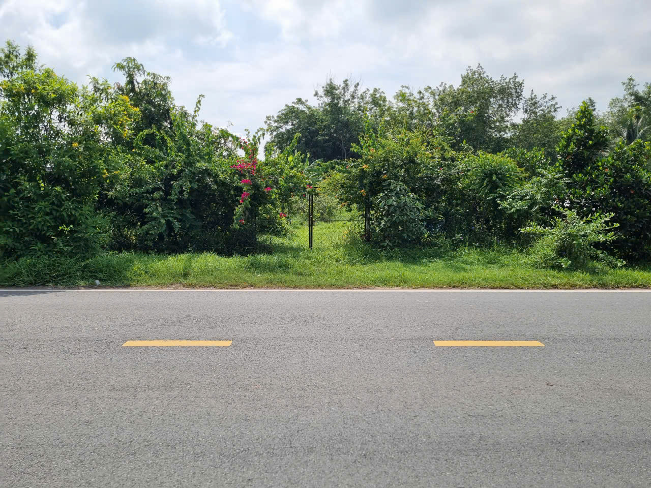 (L976) Đất mặt tiền Nguyễn Thị Rành, xã Nhuận Đức, dt 595m2, giá 6 tỷ