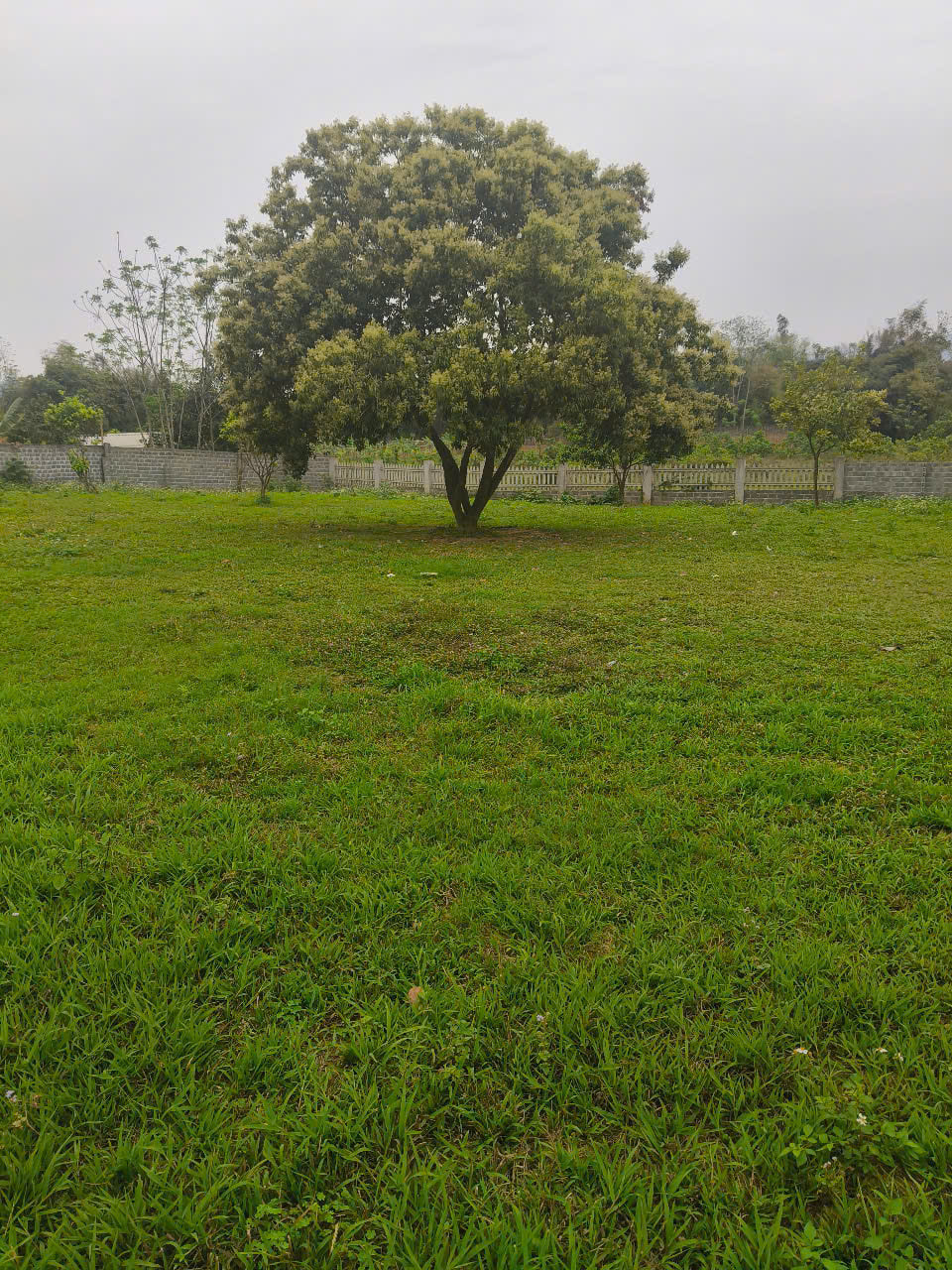 1952m 180tc - khu dân cư - view cánh đồng - Lương sơn, HB - giá đầu tư