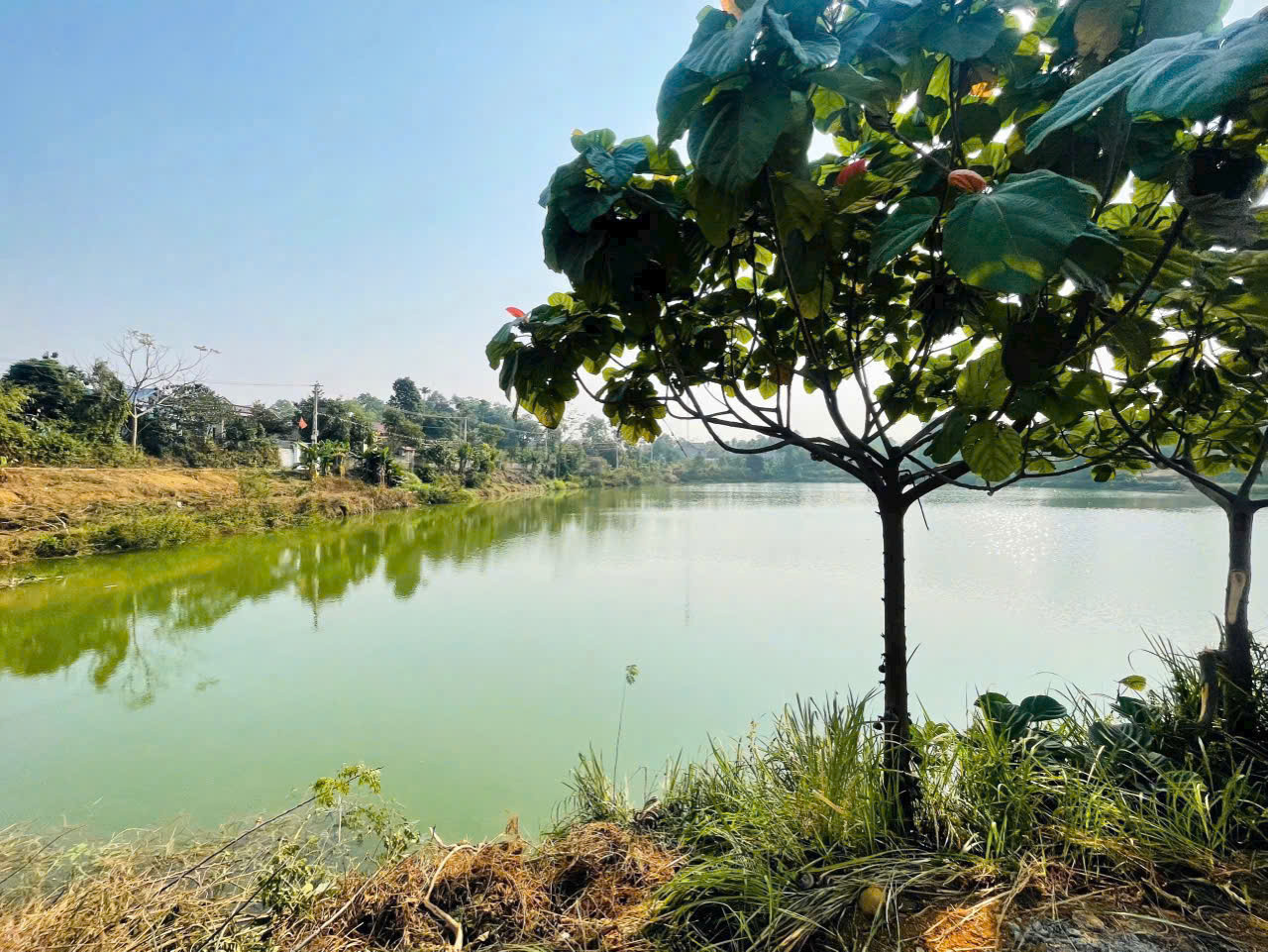 Bán 2 Lô 213m và 214m - View hồ - Cư yên, Lương Sơn - giá nhỉnh 2,x tỷ